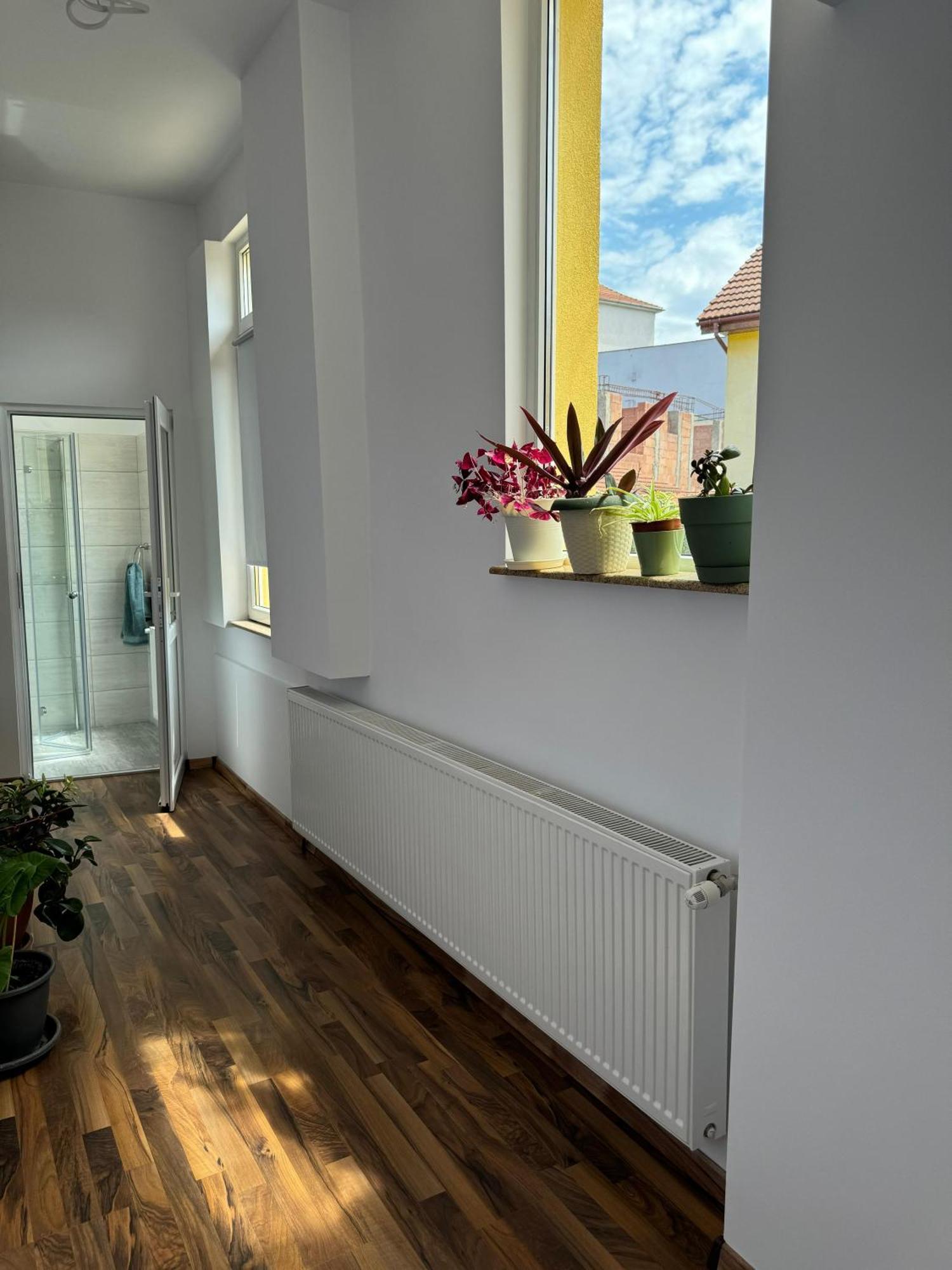 Apartament Victoria Timisoara Esterno foto