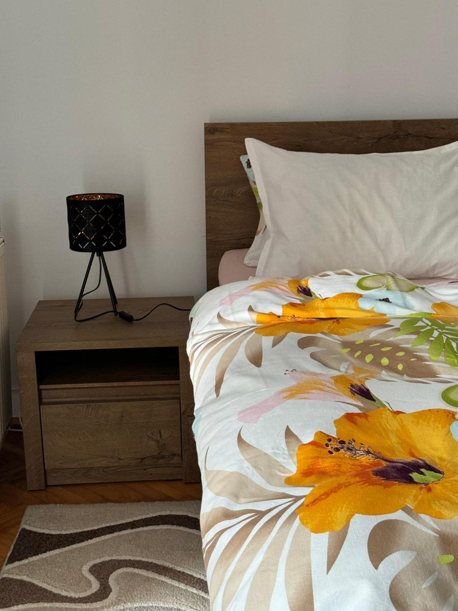 Apartament Victoria Timisoara Esterno foto