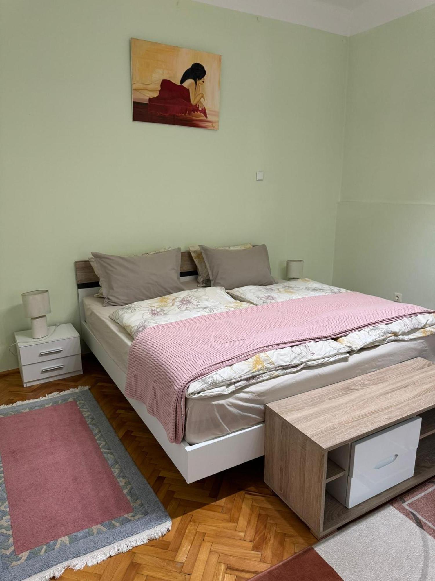 Apartament Victoria Timisoara Esterno foto