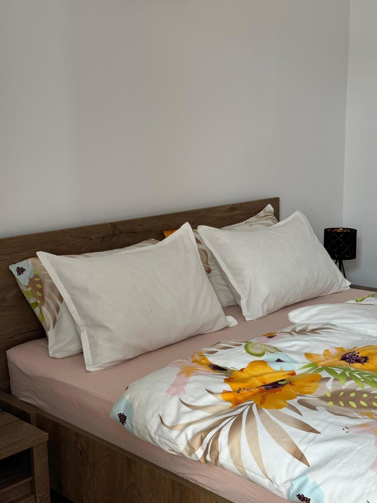 Apartament Victoria Timisoara Esterno foto