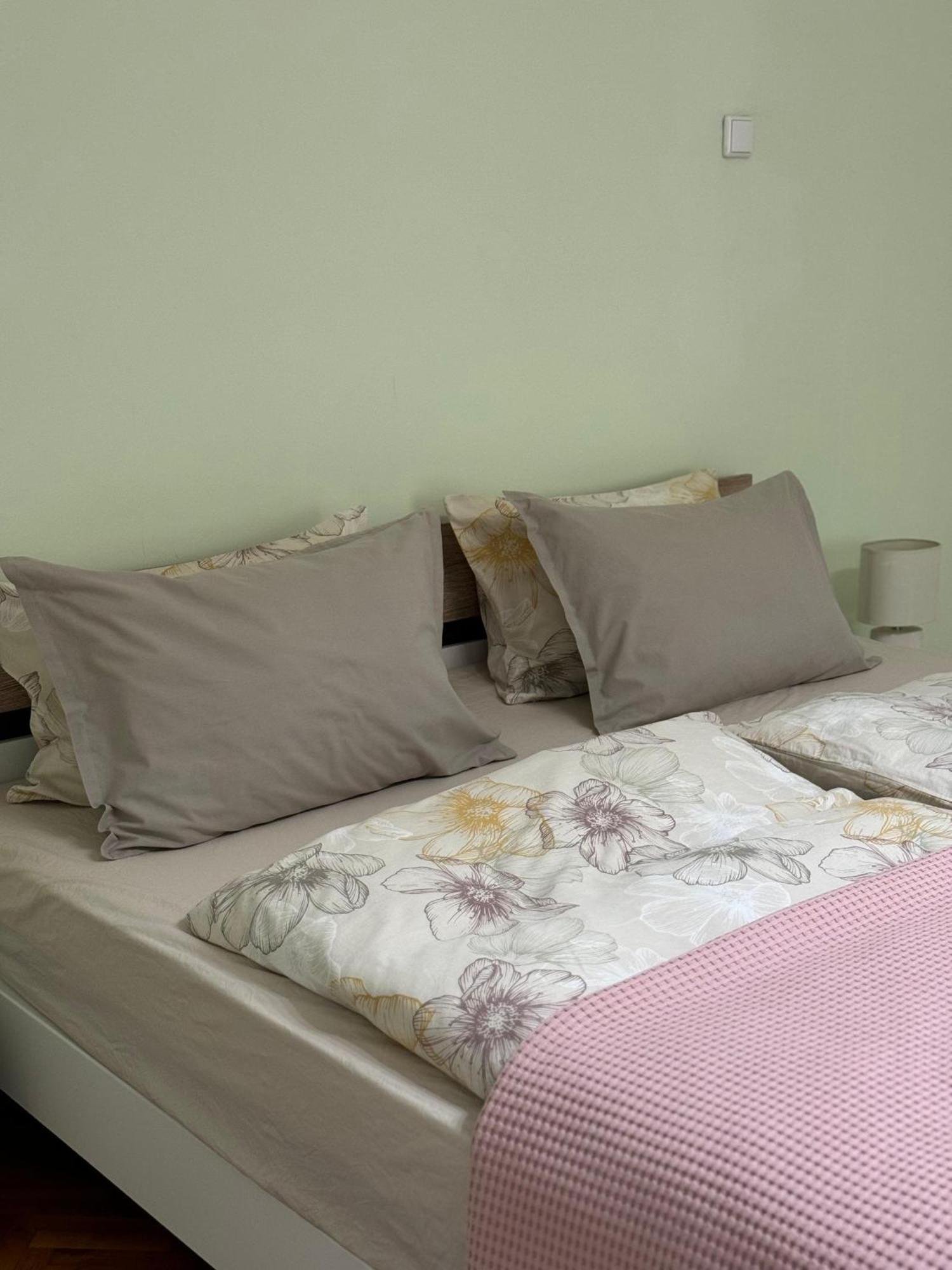 Apartament Victoria Timisoara Esterno foto