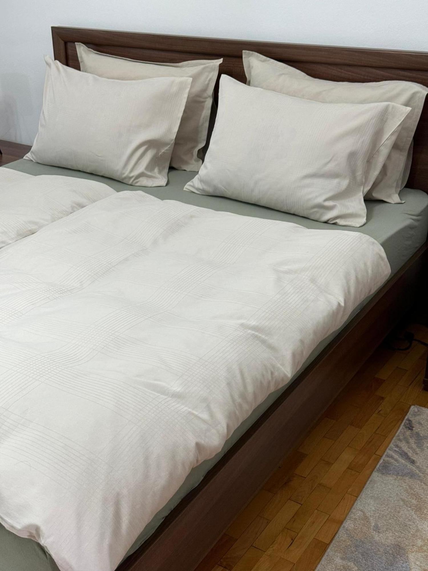 Apartament Victoria Timisoara Esterno foto